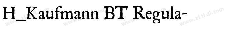 H_Kaufmann BT Regula字体转换
